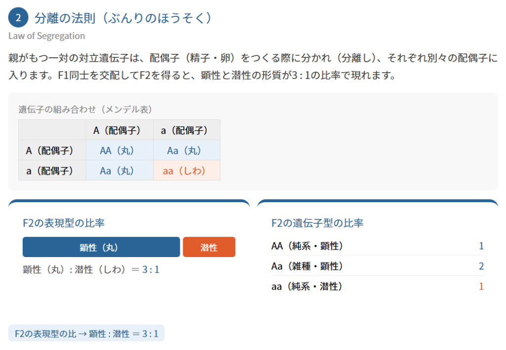 メンデルの法則の基本2