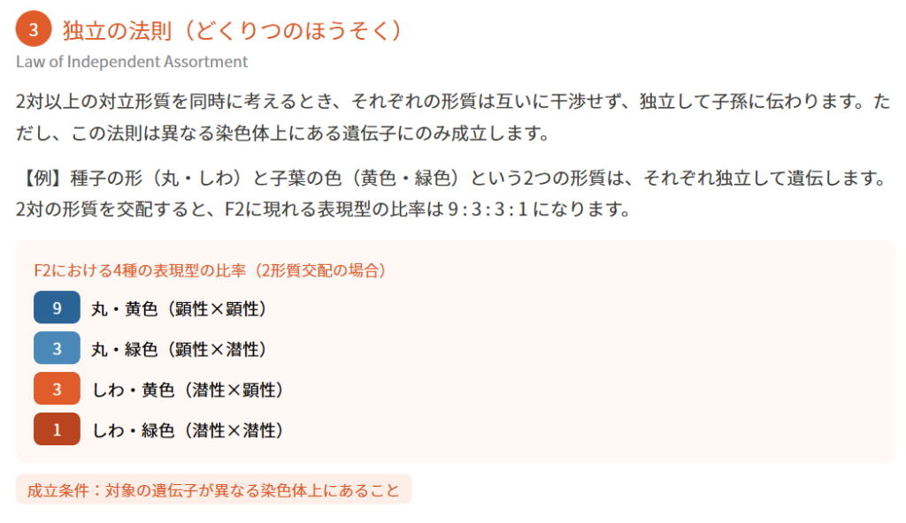 メンデルの法則の基本3