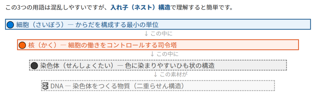 染色体・核・DNAの違いをわかりやすく整理1